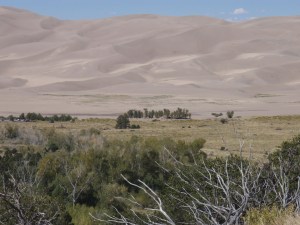 Sand Dunes