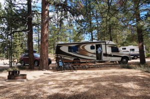 Campsite in North Campground