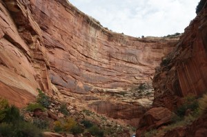 Driving in Capitol Gorge
