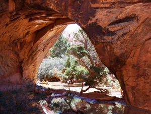 Navajo Arch