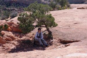Holly resting in the shade