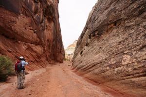 Capitol Gorge streambed