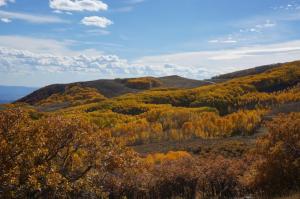 Fall colors on Boulder Mountain
