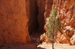 Wall Street entrance looms ahead