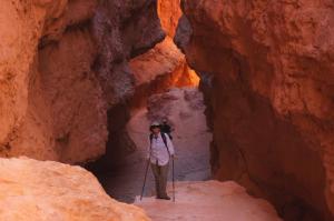 Holly about to enter Wall Street's maw