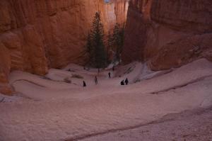 Navajo Loop switchbacks