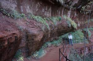 Hanging gardens on trail to Lower Emerald Pool