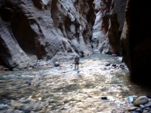 Holly in Wall Street