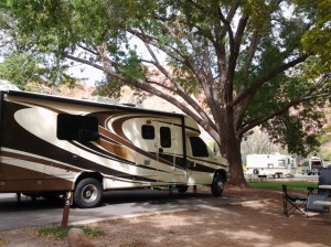 Home Sweet Oasis Home