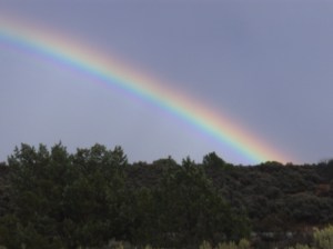 Rainbow