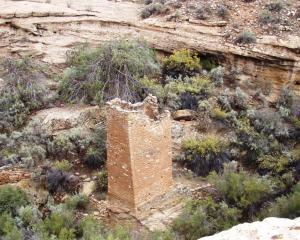 Hovenweep Square Tower near the spring in the bottom of the canyon
