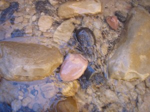 Rocks, nice rocks, lots of rocks
