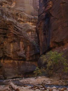 The trail grows ever narrower