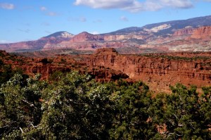 View from Panorama Point