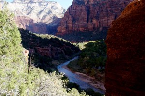 Zion Canyon View