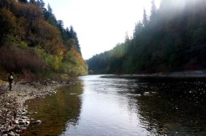 South Fork of the Eel River