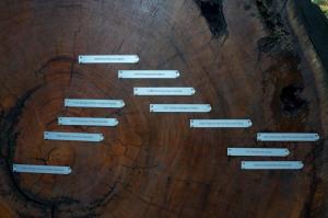 Human history In the lifetime of a redwood