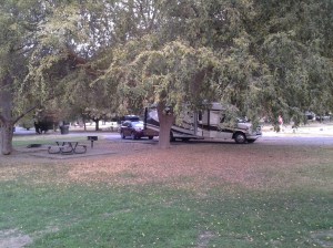 Our site from near the river - I just love seeing our Phoenix snuggled under the trees
