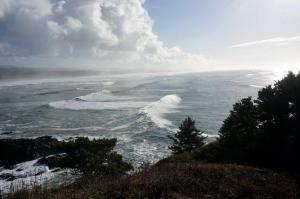 View looking south from Yaquina Head