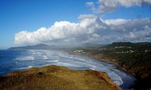 View looking north from Yaquina Head