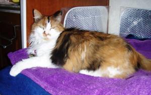 March 2014 - Aloof Snickers in bed