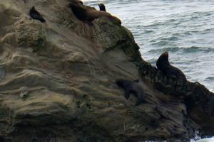 Splat Toy Imitation... and a couple little guys