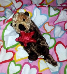 Stuffed baby sea otter