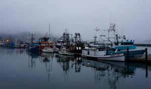 Newport fishing fleet