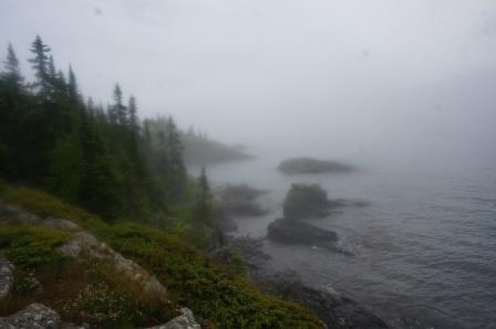 Foggy Coast