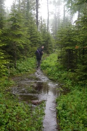Swimming down the trail