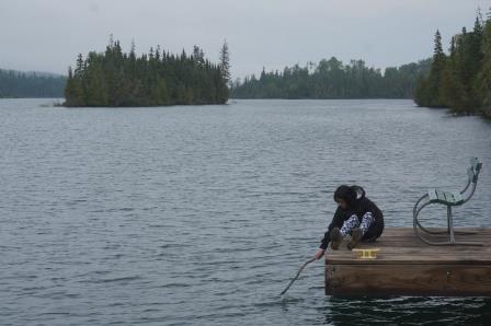 Waiting for the river otter