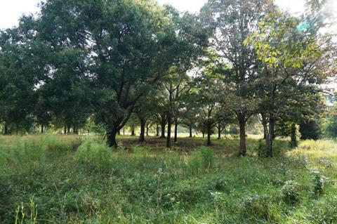 This image has an empty alt attribute; its file name is 101320_2012_kingsmounta12.jpg